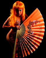 The Fan