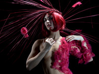 Feathers