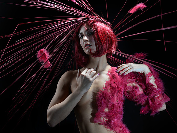 Feathers