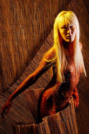 Blond Ambition