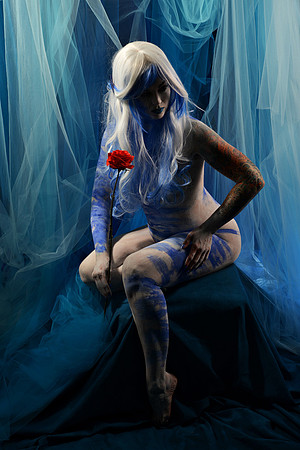 red rose